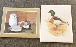 Bernard Picture 1982 Stephen Gayford Litho Wild Fowl Duck Mallard VTG Print Lot - Picture 1 of 4