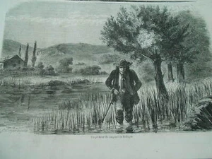 Gravure 1857 - Un pecheur de sangsue en Bretagne - Picture 1 of 1