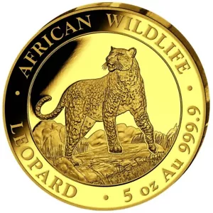 Goldmünze Leopard African Wildlife 2022 - Somalia - im Etui - 5 Oz PP - Bild 1 von 3