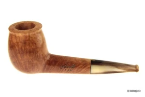 Pipa Amorelli * * * - Lovat - Picture 1 of 7