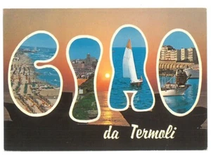 BR1055 Ciao Termoli (Campobasso) Viaggiata 1990 verso Querceta - Foto 1 di 2