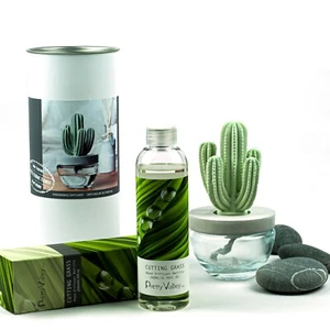  Pretty Valley Home Cactus Ceramic Diffuser Combo (Cutting Grass) Scent 200ml - Picture 1 of 4
