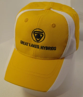 Great Lakes Hybrids Hat Mens Yellow with White Stripe Adjustable Nylon Logo Cap - Image 1 of 4