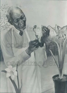 1968 Press Photo Artist Painting African American Scientist G Washington Carver - Picture 1 of 2