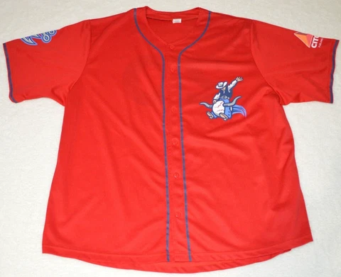Corpus Christi Hooks men’s XL Astros AA Baseball team Citgo Jersey #20 red/white Cover