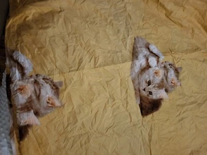 3pc Cat Pattern King size Bedding - Picture 1 of 3
