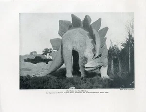 um 1900 VORGESCHICHTE DINOSAURIER JURASSIC STEGOSAURUS antiker Litho Druck W.Bolsche - Bild 1 von 1