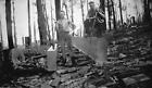 Two men cutting timber for wharves Murrangower Victoria 1935 OLD PHOTO