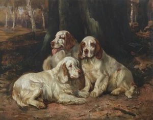 Wright Barker Clumber Spaniels In A Woodland Of Silver Birch Canvas Print - Picture 1 of 4