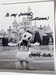 Disneyland Resort 2005 a Sullivan autografo di Paperino foto castello sul retro - Foto 1 di 1