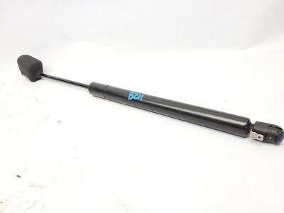 Chevy Corvette Z06 2006-2012 puerta levadiza maletero tapa soporte cilindro elevador 10380000 Foto 1 de 4