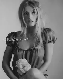 Sharon Tate Vintage ⭐Hollywood⭐ 1960s - 8X10 PUBLICITY PHOTO - Celebrities - Picture 1 of 1