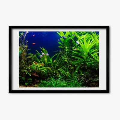 Tulup Bild MDF gerahmte Wand Dekor 60x40cm Fische in einem Aquarium - Bild 1 von 4