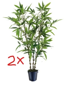2 sets Artificial Plant Jin Bamboo Tree PU 107cm High, 6 trunk Houseplant Indoor - Picture 1 of 9