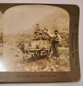 Stereoview George W Griffith 9578 Loading Turf Belfast Ireland Donkey Cart (O) - Picture 1 of 4