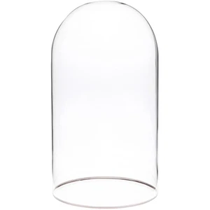 Plymor 5,5" x 10" Glas Display Kuppel Cloche mit Silberrand (ohne Sockel) - Bild 1 von 2