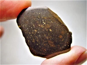 GREAT DEAL! FANTASTIC CHONDRULES! FABULOUS NWA 13758 R3 METEORITE SLICE! 11.1 GM - Picture 1 of 8