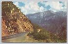 Sequoia National Park California, Sierra Nevada Mountains, Vintage Postcard