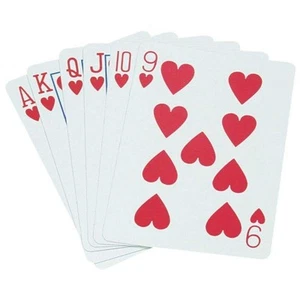 Standard Playing Cards - Pinochle (DZN) - Bild 1 von 1