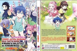 I Was Reincarnated as the 7th Prince so... (TV)~ English Dubbed & Subtitle ~ DVD - Picture 1 of 6