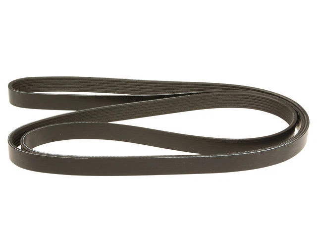 Cinturón multi costilla para Pontiac Aztek 2001-2005 AC Delco 45381ZD 2003 2002 2004 Foto 1 de 2