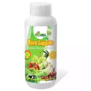 Boro liquido concime BIO - favorisce l'allegagione dei frutti Concentrazione 11% - Foto 1 di 1