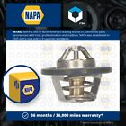 Coolant Thermostat fits RENAULT MODUS JP, JP0 1.4 1.6 2004 on NAPA 4408334 New