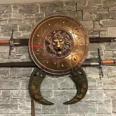 Cara de León Escudo Medieval Redondo Caballero Armadura Escudo Acero Tamaño 22 Pulgadas Hallowe Foto 1 de 4
