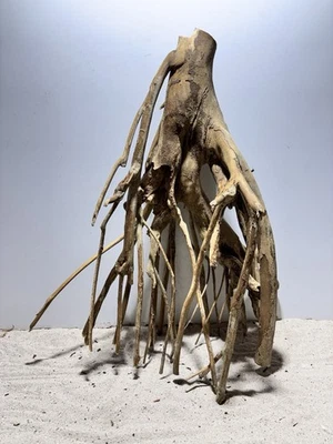 Talawa Wurzel XXL ähnlich Moorwurzel, Moorkien,Mangrove #668 L50 x T29 x H62 cm - Bild 1 von 4