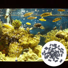 50 Pcs Luftsprudler Fur Aquarien Aquarium Blasendiffusor Luftpumpen