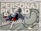 Persona 3 Reload Koromaru Keio Kolej elektryczna Przezroczysty plakat Rozmiar A4 Nowy