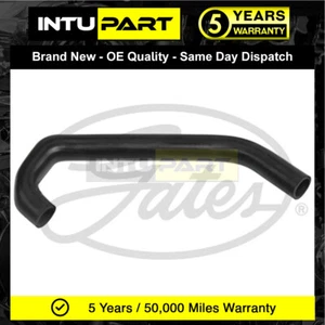 Fits VW Passat 1973-1988 Santana 1981-1984 IntuPart Lower Radiator Coolant Hose - Picture 1 of 1
