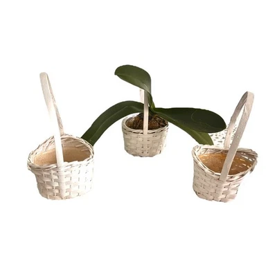 Vintage Set of 3 Wicker mini Pots Baskets Plants White Farmhouse - Image 1 of 4