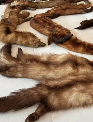 Vintage full pelt mink stoles, a brown, a golden, and a reddish-brown stole - Image 1 of 4