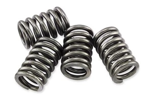EBC CSK48 HEAVY DUTY CLUTCH SPRING SET EBC CSK48 - Picture 1 of 1