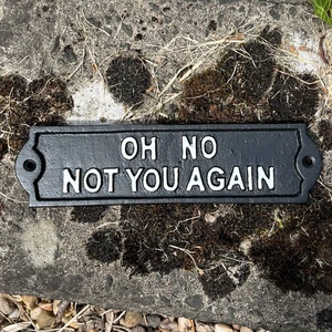 Lustige Schilder Wandtafeln OH NO NOT YOU AGAIN Humorvolle Metallkunst Vintage Garten - Bild 1 von 5