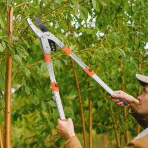 Heavy Duty Telescopic Long Handle Lopper Extend Tree Branch Anvil Pruner Cutter - Picture 1 of 12