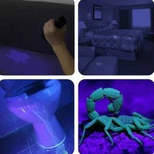 21 LED-Qualitätstaschenlampe für Skorpion- und Bettwanzenerkennung - KOSTENLOSE BATTERIEN - Bild 1 von 5