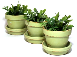 Terra Cotta Mini Pots Clay Pottery Planters Painted Green Set 3 - Picture 1 of 7
