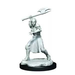 HALF-ELF ECHO KNIGHT AND ECHO FEMALE Critical Role Minis Wizkids WZK90379 D&D - Picture 1 of 3