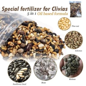 Special Fertilizer for Clivias 君子兰油性肥 5in1 Oil-based - Picture 1 of 4