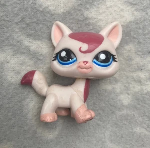 Littlest Pet Shop LPS #1679 rosa gehende Maine Coon Katze Locken blaue Augen KOPF ROST - Bild 1 von 3