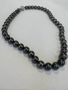 Tahitian 8.1x11.8mm Tahitian South Sea Pearls. Great Luster, Great Colors. 18kt - Picture 1 of 13