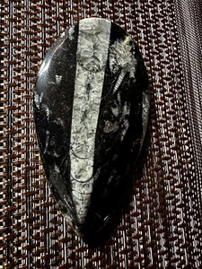 ORTHOCÉRAS - MAROC - 12,5 x 7 cm - 185 g - Foto 1 di 3