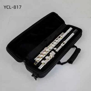 Top Flute 817 877 16/17 Close/Open Holes C Key Flute Nickel/Silver Plated - Picture 1 of 23