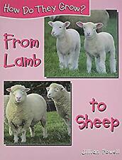 From Lamb to Sheep Library Binding Jillian Powell