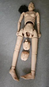 Vintage Nasco LifeForm Handcrafted Full Body Male / Female Training Manikin - Picture 1 of 13