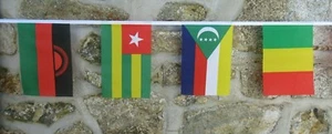 Afrika Multi-Nationen Flaggen Polyester Wimpelkette - alle 54 Nationen - Bild 1 von 12