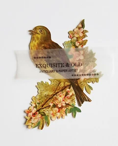 um 1900 Vogel rosa Blüten Natur Glanzbild Prägedruck Oblate Luxuspapier Ephemera - Bild 1 von 2