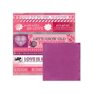 5p We R Memory Keepers AL POR MAYOR Libro de recortes Crazy For You XOXO Valentine - Imagen 1 de 1